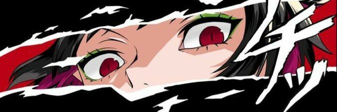 0xvuc's profile banner image