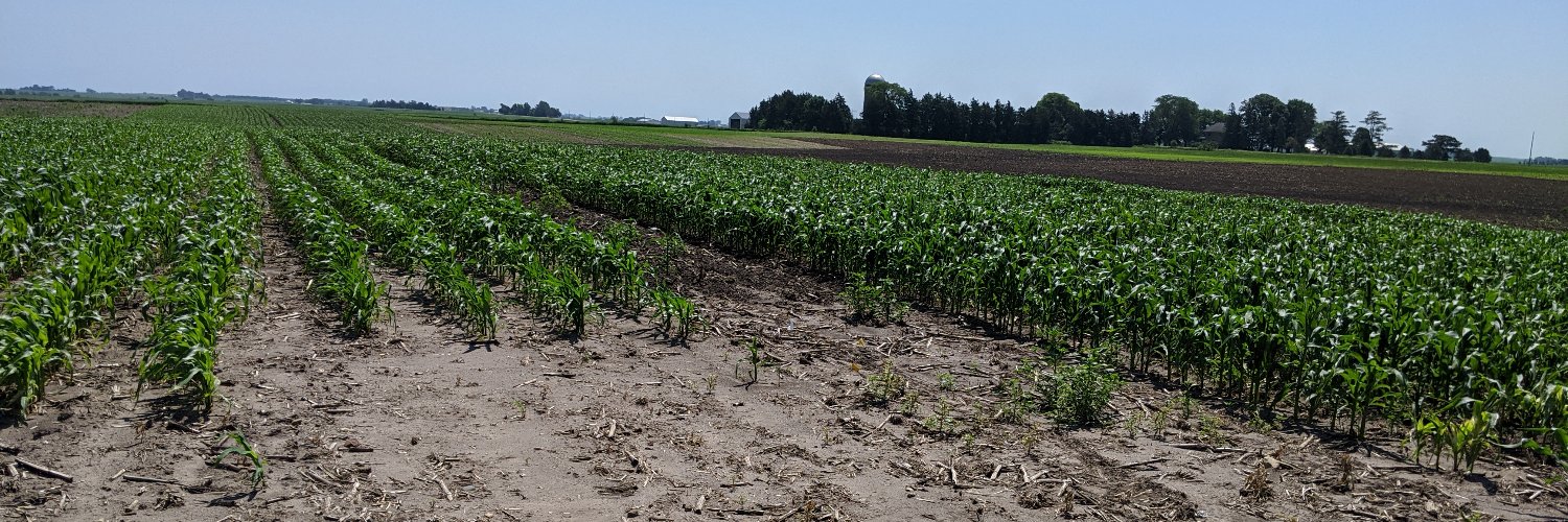 Alan Langman🇺🇦 banner