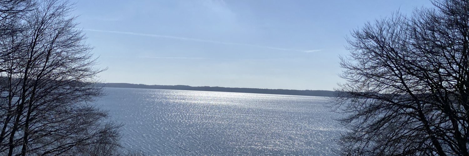MRSchjorring's profile banner image