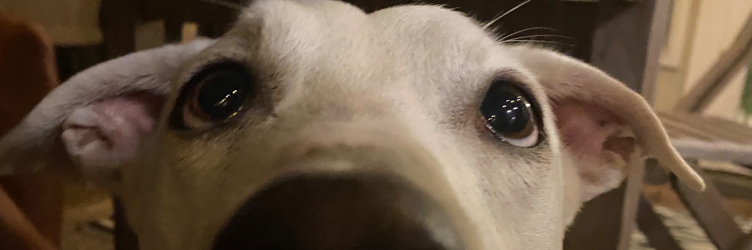 KateWygal's profile banner image