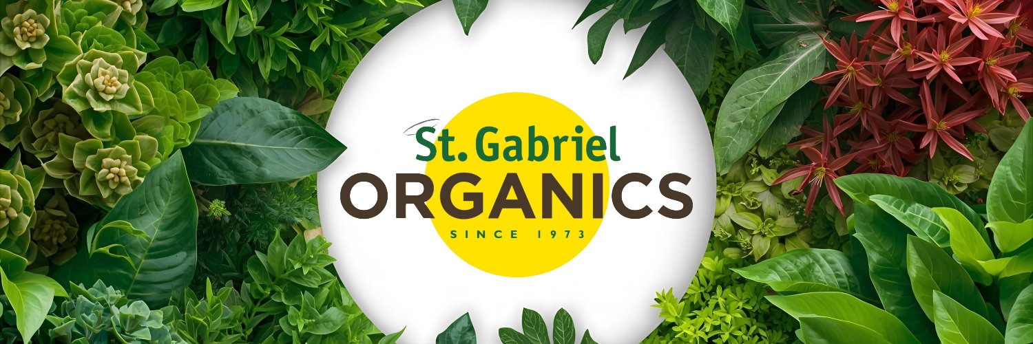 GabrielOrganics's profile banner image