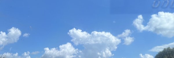 littlestupidgb Profile Banner