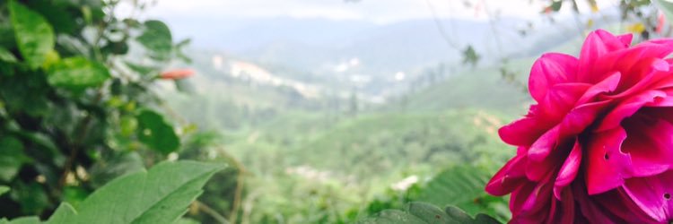 asnr373's profile banner image