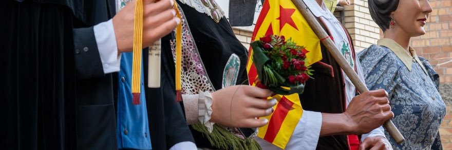 ida banner