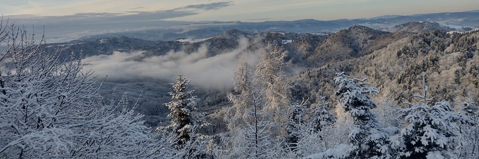 Tomáš Hlásny banner
