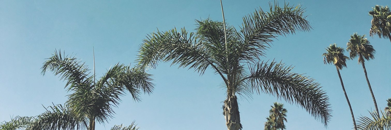 MaryMcQueen's profile banner image