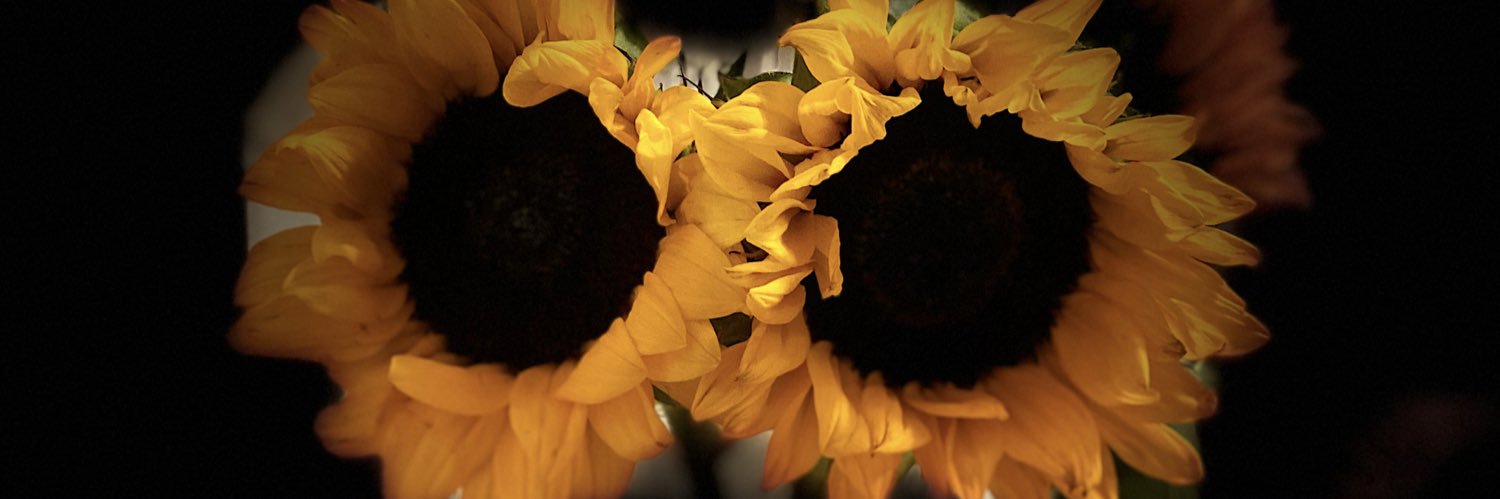 LilMissJen23's profile banner image