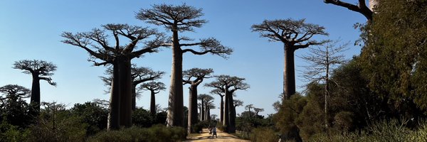 GrzegKrychowiak Profile Banner
