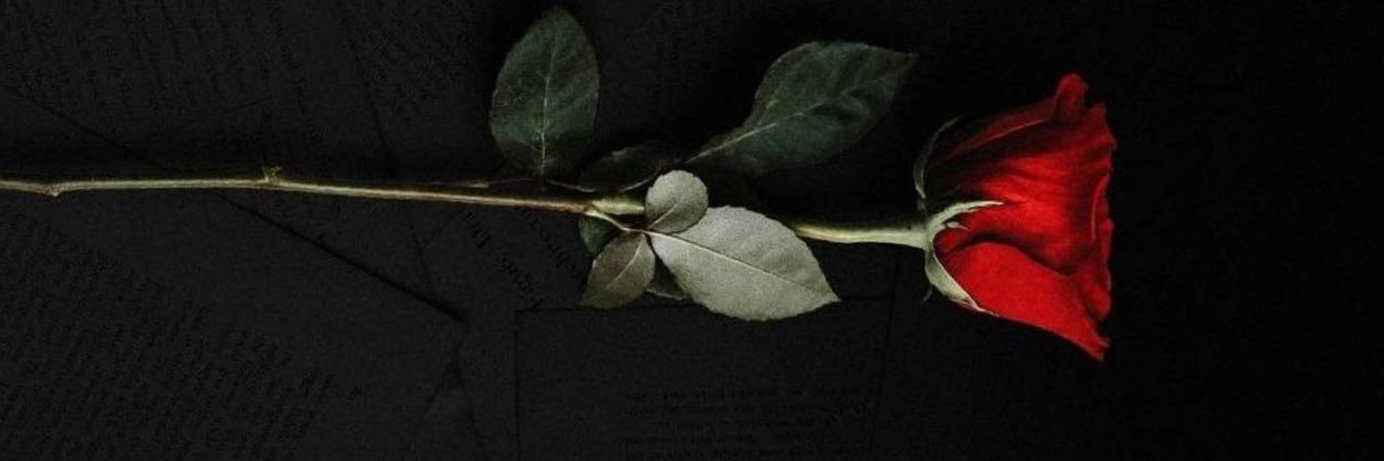 gulumserakca's profile banner image