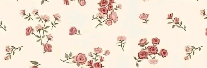 mariam_sm7's profile banner image