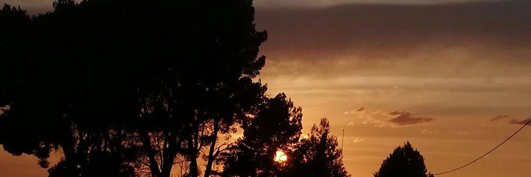 judit__13's profile banner image