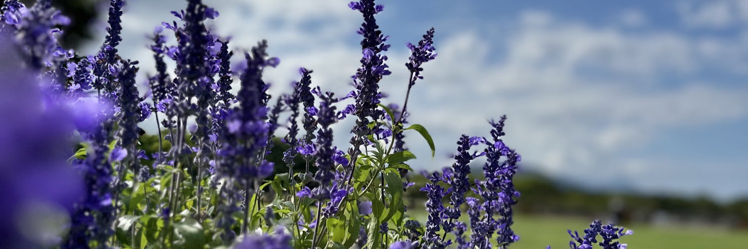 Yu♡ママみん→ banner