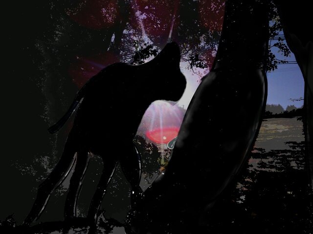 Jamie_Leah_'s profile banner image
