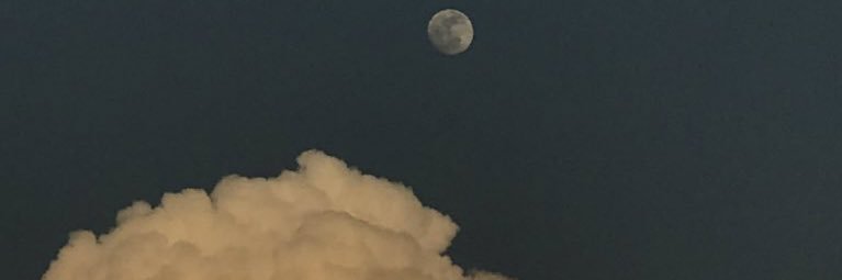 M63260151's profile banner image