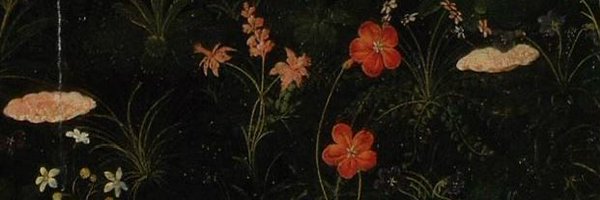 mistymountns Profile Banner