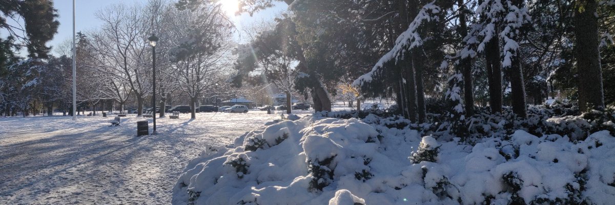 Nick Waglechner banner