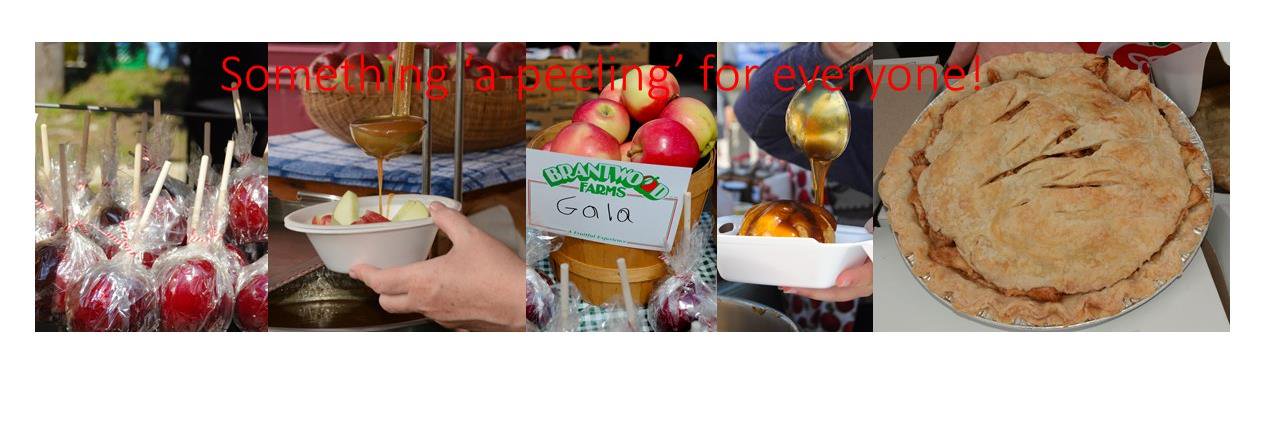 St. George Apple Fest banner