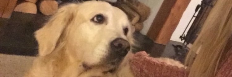 Lucy Eldridge banner