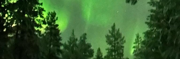 Finlandiya’da bir Ankaralı banner