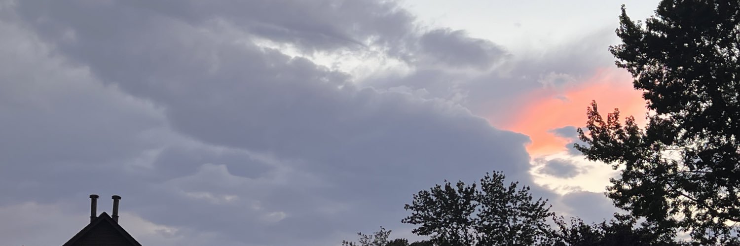 Rust3dBr3w23's profile banner image