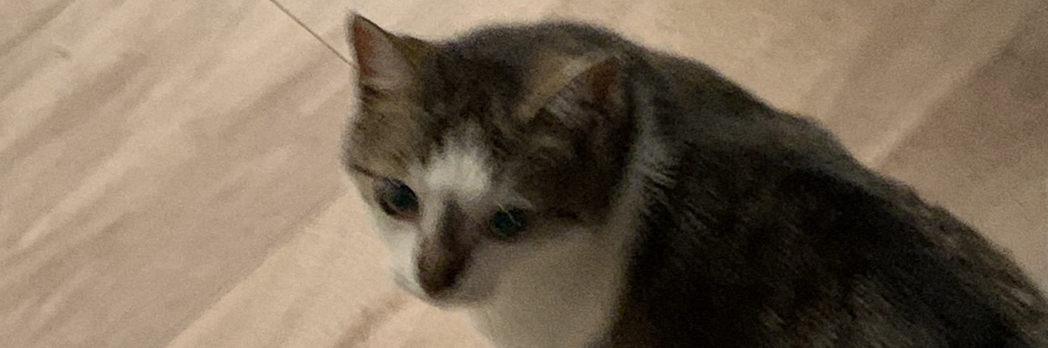 nikhotinn's profile banner image