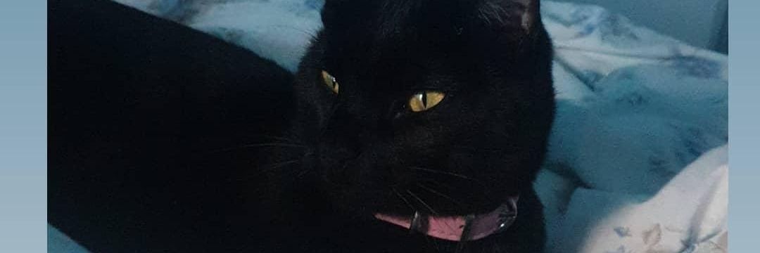 susanamrg2000's profile banner image