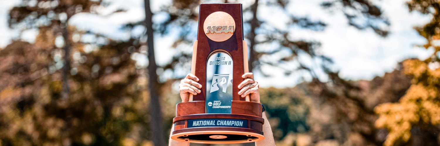 University of Findlay Golf banner