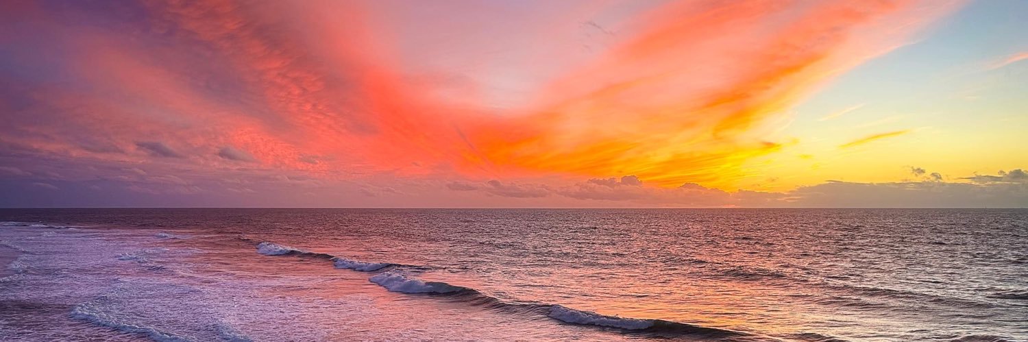 Ana Lucia Novak banner