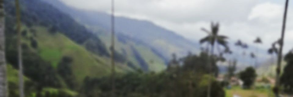 MSR_S12's profile banner image