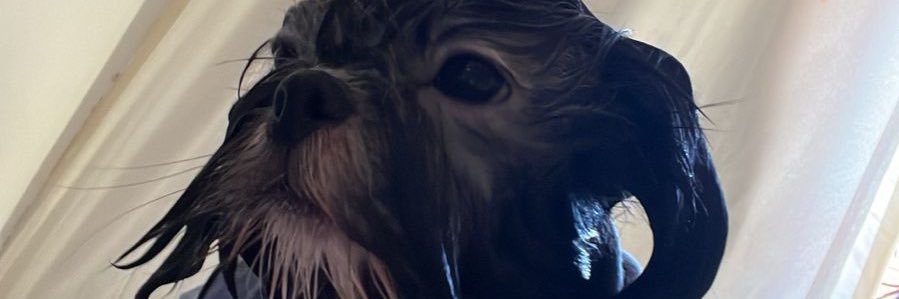 _ericatorress's profile banner image