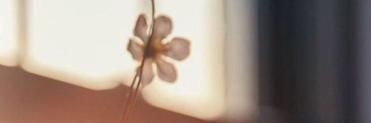 darlingismey's profile banner image