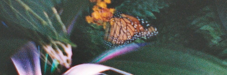 whatevercita's profile banner image