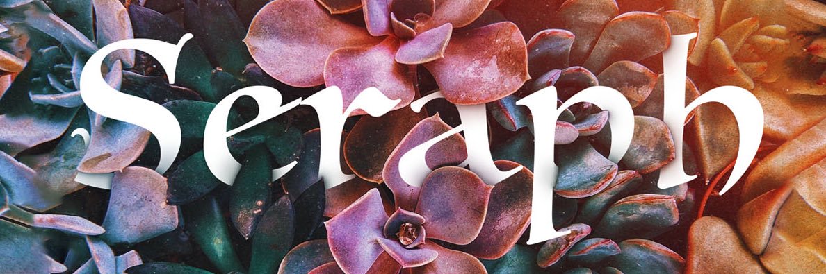 Seraph__Sun's profile banner image