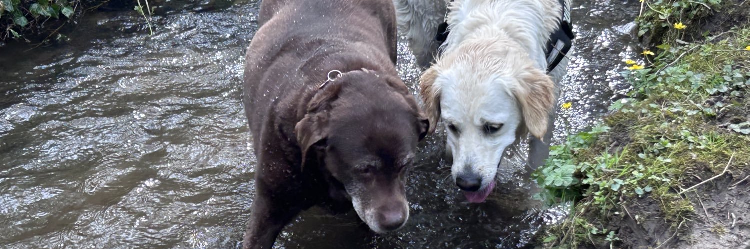 A Graham Adams 🏴󠁧󠁢󠁷󠁬󠁳󠁿 banner