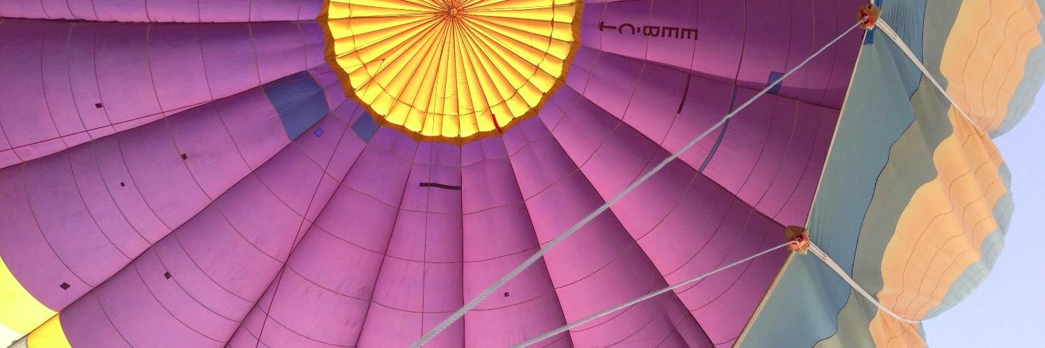 Alissa Bushnell banner