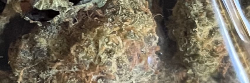 Li banner