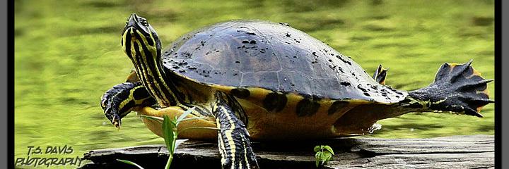 CanoeEscape's profile banner image
