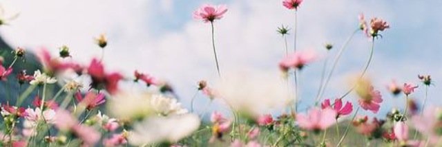 tayslack's profile banner image