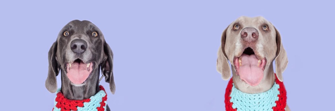 nattysoto's profile banner image