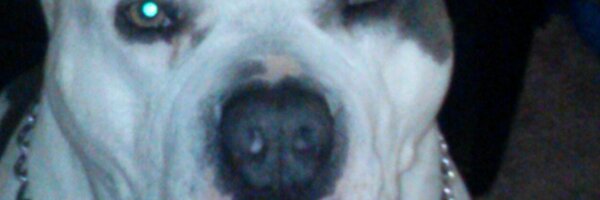 hc_ha Profile Banner