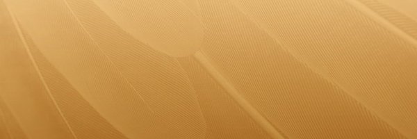Birds_MDPI Profile Banner