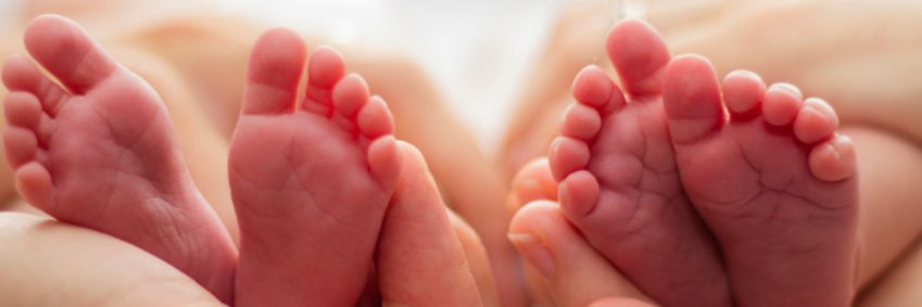 The FERN study banner