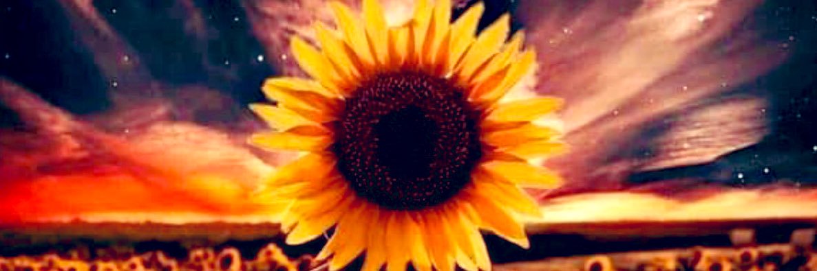 FunSized_Luv's profile banner image