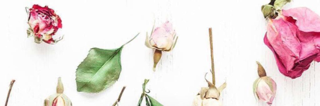 _en111's profile banner image