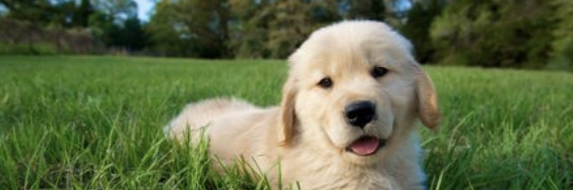 💥 Best Videos & Content 🎥💥 banner