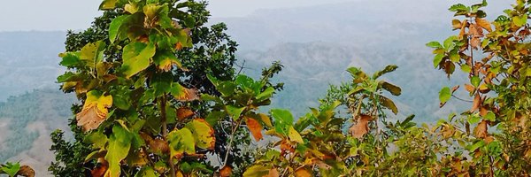 rathwaarjun5 Profile Banner