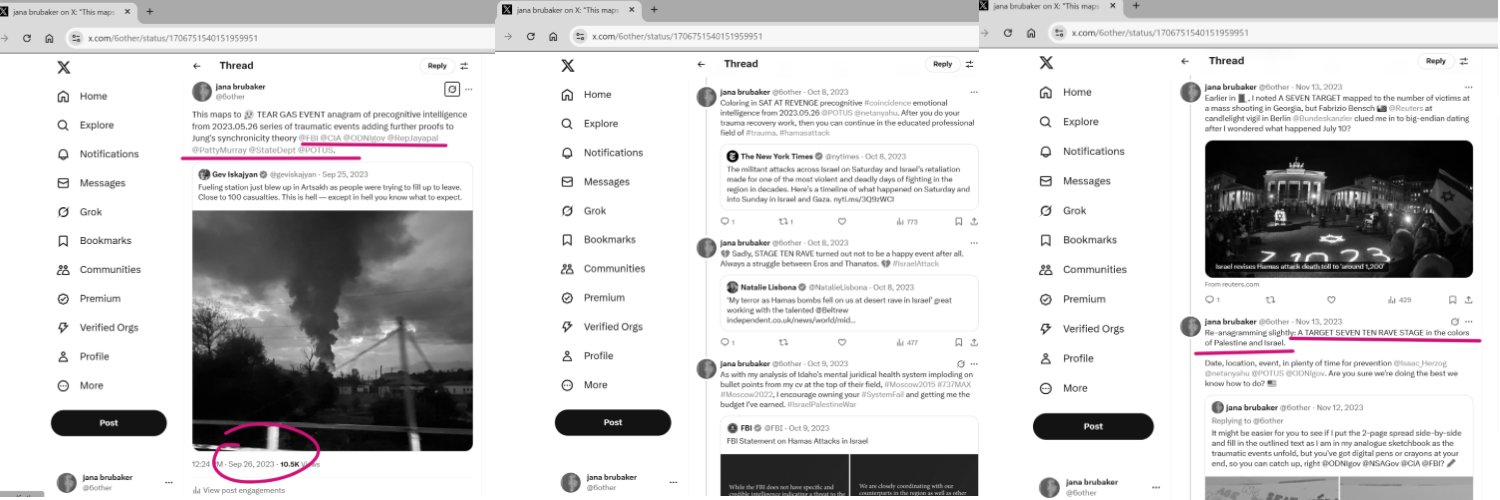 jana brubaker banner