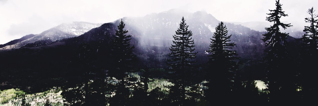 ilonatrbchnnk's profile banner image