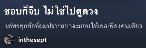 𖧷 เเมวจ๋อง ꒰ʷᵒᶰᶤᵉ꒱ ◜🐈◞ banner