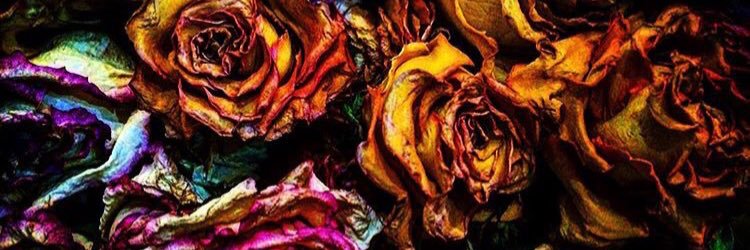 tinavsgh's profile banner image
